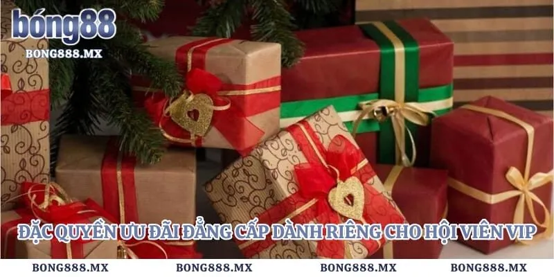 Đặc quyền ưu đãi đẳng cấp dành riêng cho hội viên VIP