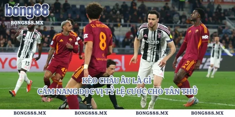 Kèo Châu Âu Là Gì – Cẩm Nang Đọc Vị Tỷ Lệ Cược Cho Tân Thủ 1 Kèo Châu Âu Là Gì – Cẩm Nang Đọc Vị Tỷ Lệ Cược Cho Tân Thủ