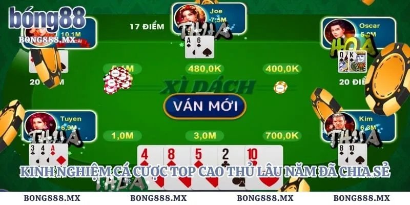 Kinh nghiệm cá cược top cao thủ lâu năm đã chia sẻ