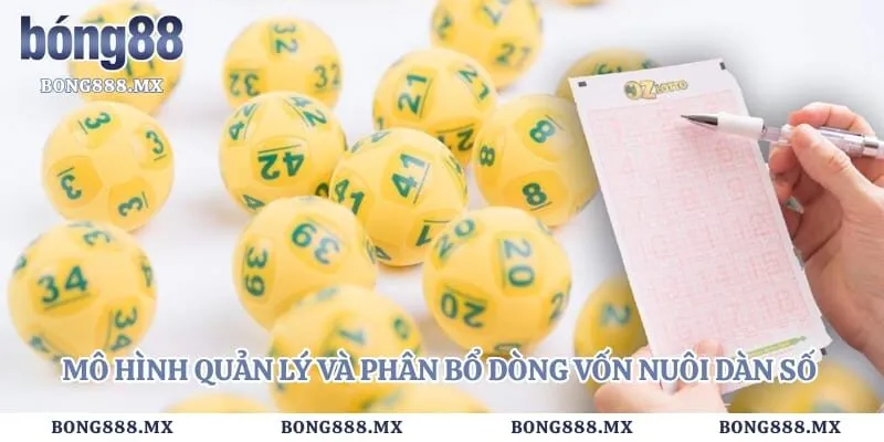 Mô hình quản lý và phân bổ dòng vốn nuôi dàn số theo chu kỳ khoa học